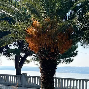  Apartment Right On The Kroatien